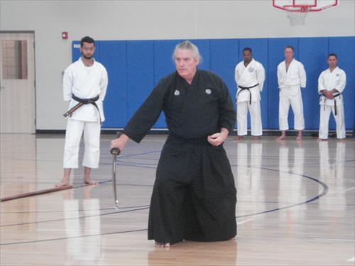 Mukushin Ryu Demonstration 7-10